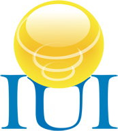 Information Unlimited, Inc