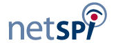 Netspi
