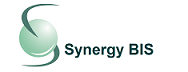 Synergy Business Innovation & Solutions Inc