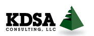KDSA Consulting LLC