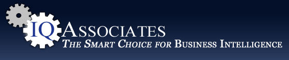 IQ Associates