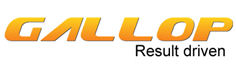 Gallop Solutions, Inc.