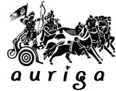 Auriga Consulting Services Inc