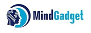 Senior Business Transformation Consultant role from Mindgadget Inc. in Whippany, NJ