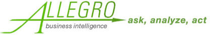 Allegro Business Intelligence