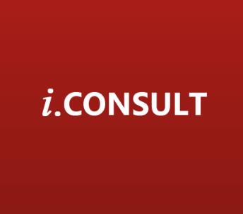iConsult US