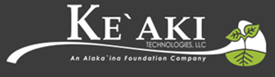 Network Manager V role from Keaki Technoloigies in Newport News, VA