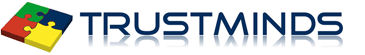 Data Analyst role from TrustMinds, Inc. in 