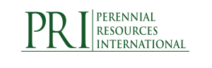 VP, Manager of IT Operations role from Perennial Resources International in New York, NY