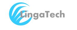 Sr. .NET Core Developer role from LingaTech, Inc in 