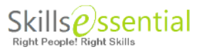 Healthcare Business Analyst role from Skillsessential in 