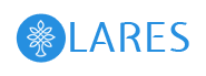 SAP HANA Architect role from Lares IT Solutions Inc in 