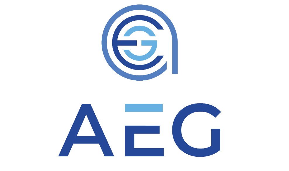 IT Business Analyst / Process Analyst role from AEG - Application Engineering Group in 