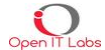Data Analyst role from Open IT Labs LLC in Detroit, MI