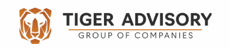 Audit Consultant role from Tiger Advisory Group in 