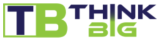Data Scientist role from Think Big Solutions, Inc in 