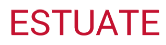 Project coordinator / Jr. Project Manager role from Estuate Inc. in 