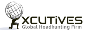 Project Manager (Chicago, IL or Houston, TX Local only) role from Xcutives.com Inc in Houston, TX