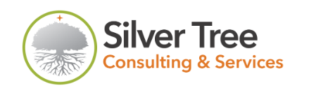 Account Transformation Executive role from Silvertree IT Consulting & Services in 