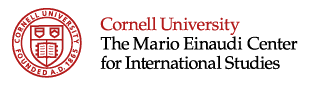 Salesforce Solution Analyst role from Cornell University in 