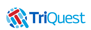 Mobile Application Developer role from TriQuest in 