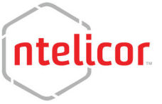 Junior Digital Marketing Analyst role from Ntelicor LP in 