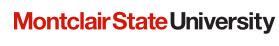 Network Engineer role from Montclair State University in Montclair, NJ