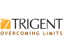 Java Full Stack Engineer role from Trigent Software, Inc. in Mclean, VA