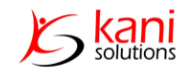 Entry Level Business Analyst (Remote Role) role from Kani Solutions in 