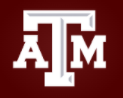 Senior IT Professional I role from Texas A&M University in College Station, TX