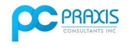 Data Analyst - Management role from Praxis Consultants Inc in Burlington, VT