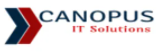 Dot Net Developer role from Canopus IT Solutions LLC in Las Vegas, NV