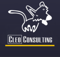 Java Full Stack Developer role from Cleo Consulting Inc. in Salt Lake City, Utah