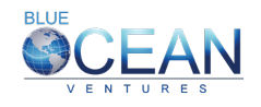 UI DEVELOPER role from Blue Ocean Ventures in 