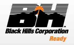 IT Risk Analyst role from Black Hills Corporation in Rapid City, SD