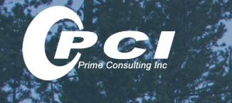 Oracle DRM Consultant role from Prime Consulting in 