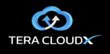 Data Architect I (Junior) role from Tera Cloudx inc in Wyomissing, PA