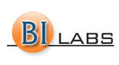 Business Data Analyst role from Bi Labs in 