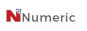 Numeric Technologies, Inc.