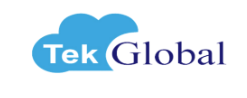 Program Manager role from Tek Global in San Jose, CA