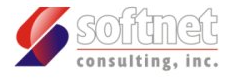 Softnet Consulting Inc