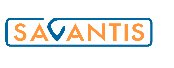 Savantis Solutions LLC