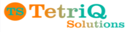 Senior ASP.Net Web Developer - Tampa FL role from TetriQ Solutions LLC in Tampa, FL