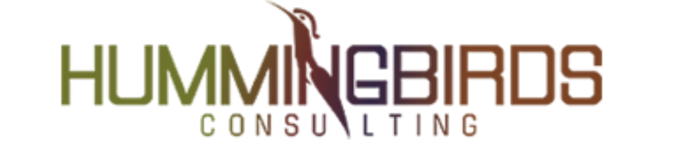 IT Project Manager role from Hummingbirds Consulting LLC in Maryland City, MD